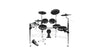 Alesis Electronic Drum Kits now Available!