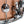 Natal, Snare Drums, STW-S465-CPS, 14" x 6.5", Natal Cafe Racer Champagne Sparkle Tulip 14" x 6.5" Snare Drum, Champagne Sparkle